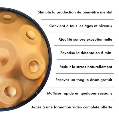 Handpan 13 Notes Bleu Doré - Ré Mineur